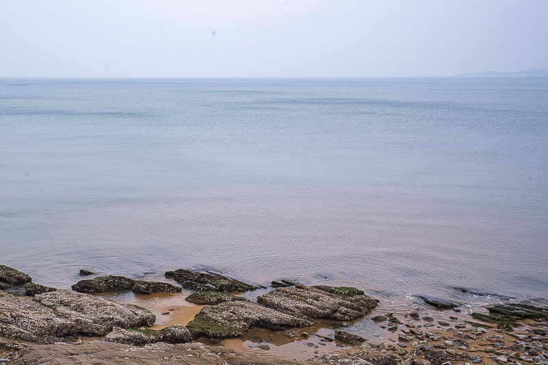 去青島旅游統(tǒng)計(jì)？去青島旅游的計(jì)劃